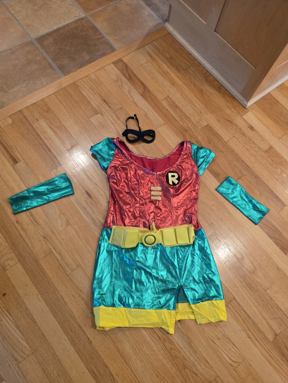 Women's Robin Metallic Halloween Costume